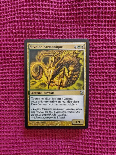 Lot n362 cartes magic the - n362,