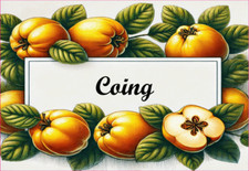 Coing 12 Etiquettes vinyle conserve fruit légume confiture fait maison