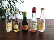 LOT 5 MIGNONNETTES CALVADOS