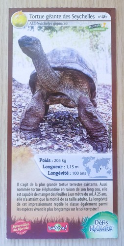 Carte merveilles monde - merveilles, du