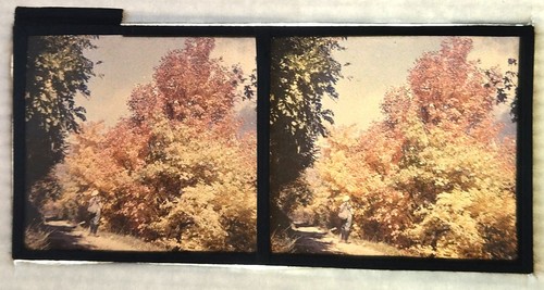 Autochrome paysage vue - paysage,