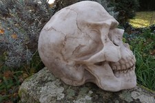 HF1274   FIGURINE GEANTE CRANE