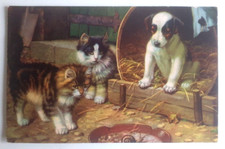 Carte Postale Ancienne  Chats chien bel état