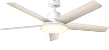 Ventilateur de plafond