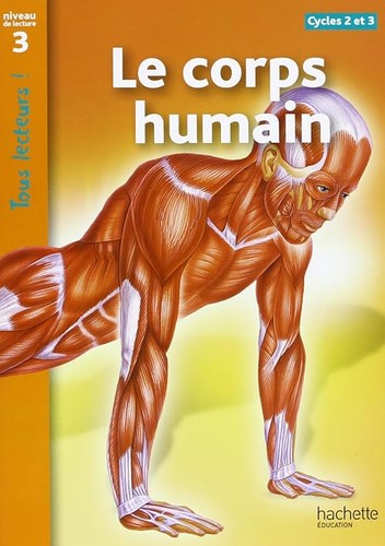 Corps humain niveau - humain, 3