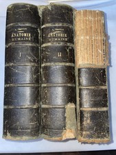Ancien Livre L.Testu Anatomie