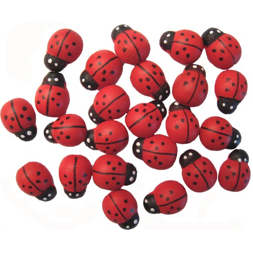Embellissement coccinelles - embellissement,
