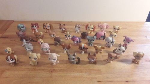Petshop lps hasbro - petshop,