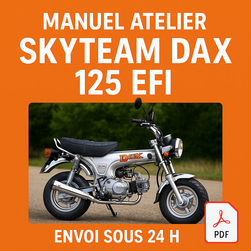 Manuel atelier skyteam dax 125 - skyteam,