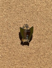 Disney DSSH DSF Studio Store Beauty and Beast Armoire PTD Trader Delight Pin