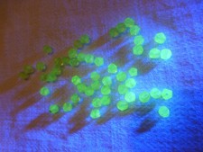 très RARE lot de 50 PERLES