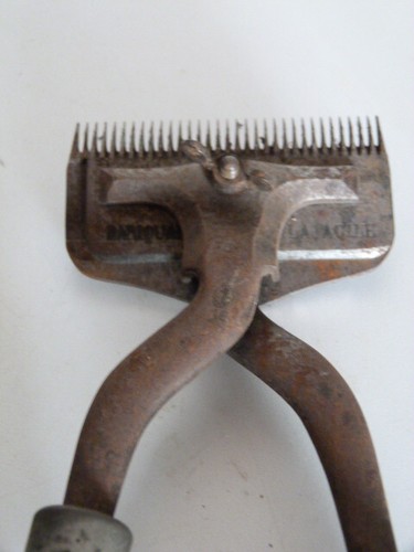 Ancienne tondeuse laine - ancienne,