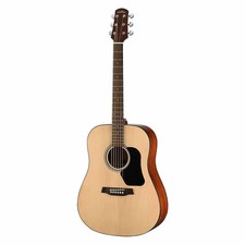 Walden d450 acoustic guitar - guitar,