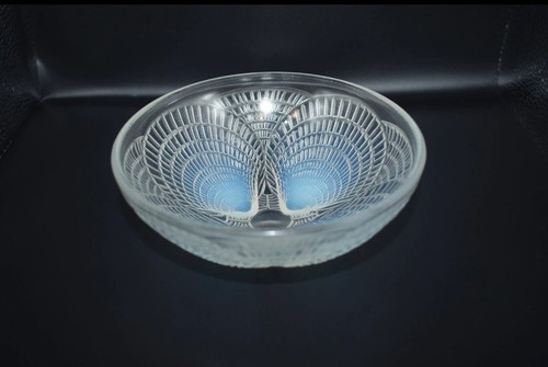 Vide poche opalescent rene - opalescent,