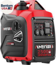 2500-Watt Gas Powered Portable
