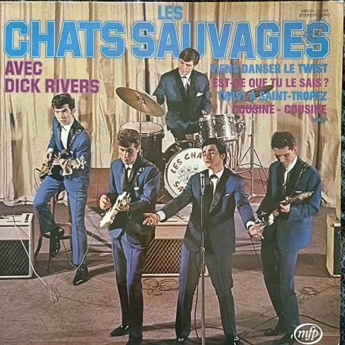Disque vinyle tours - disque,
