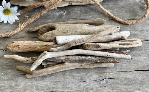Genuine driftwood branches - genuine,
