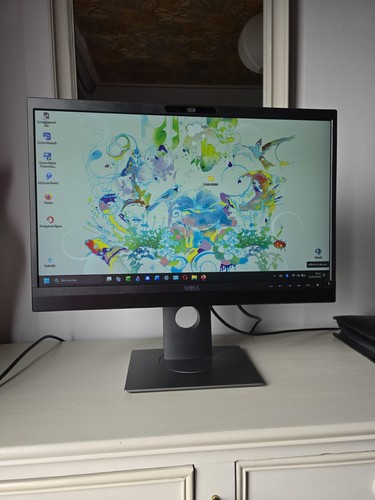 Moniteur dell - moniteur, 24
