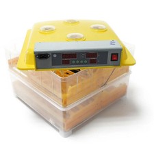 Couveuse automatique 96 oeufs