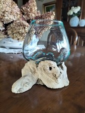 Verre Soufflé Sur Racine