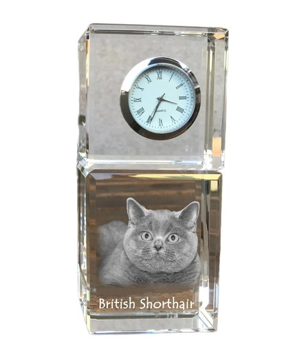 British shorthair horloge - british,