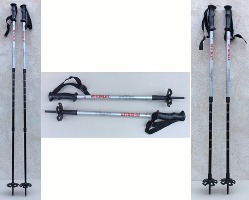 Batons ski telescopiques - ski,