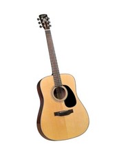 Bristol by Blueridge 6 String Acoustic Guitar, Right Handed (BD-16) Guitar Only