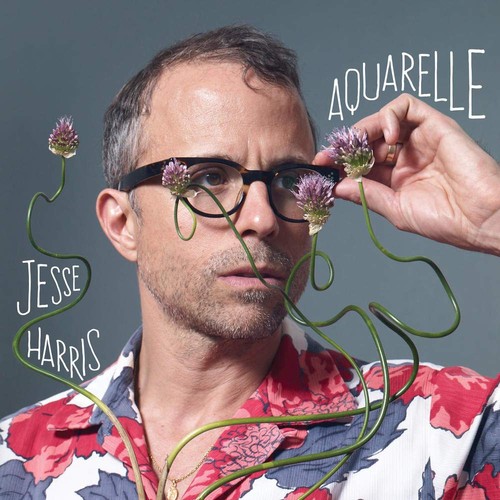 Jesse harris aquarelle - jesse,