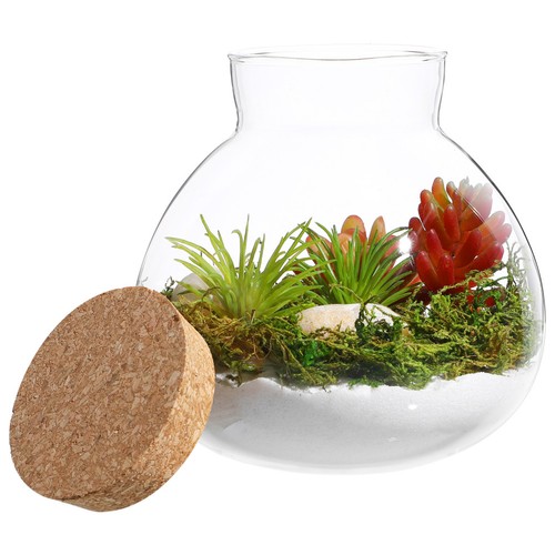 Terrarium bouteille - terrarium,