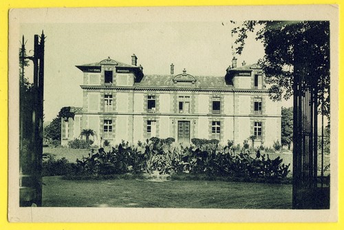 Cpa castle france - castle,
