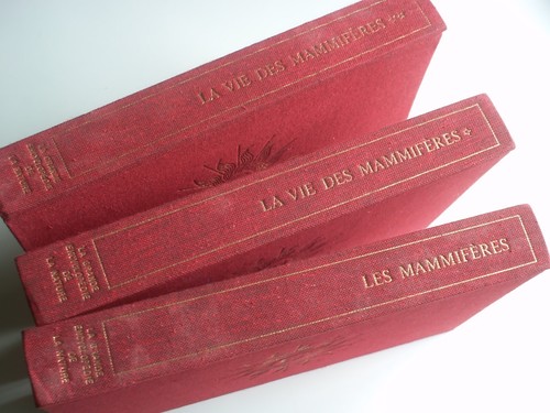 Bordas les mammiferes 3 - bordas:,