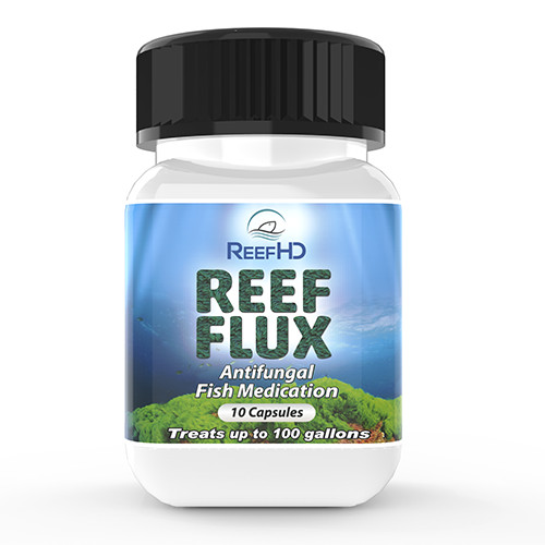Reefhd reef flux - reef,