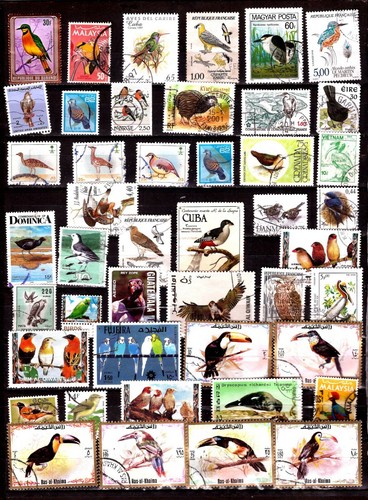 Zy1304 tous pays timbres - zy1304,