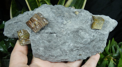 Xxl cubes pyrite sur matrice - cubes,
