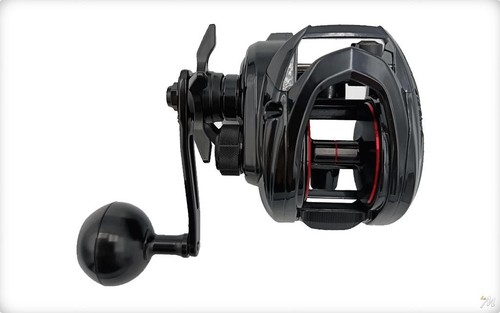 Moulinet casting daiwa - daiwa, 25
