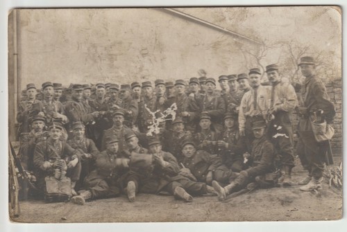 Carte photo piou cravate - piou,