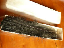 Lot de plumes d'autruche noire