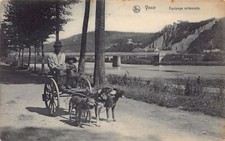 Belgium - Yvoir (Namur) Ardennes crew - dog harness