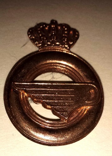 Insigne bronze béret unités