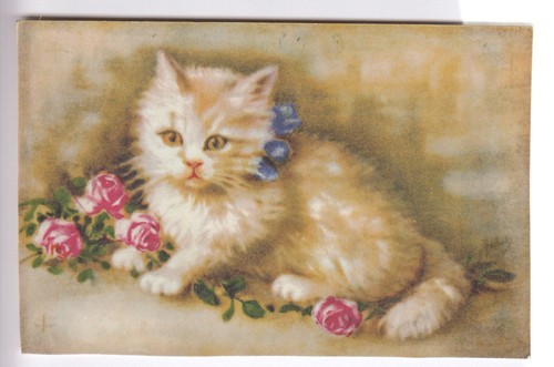 Cpa animal fantaisie - ,