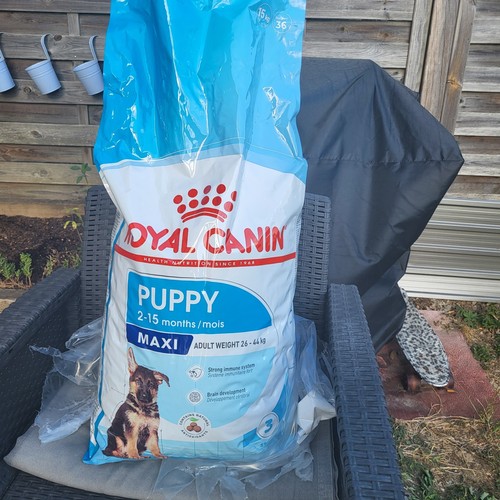 Royal canin maxi puppy - maxi,