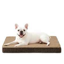 Panier Chien Petits Taille