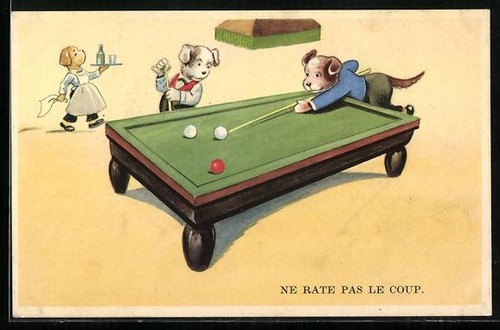 Chiens habillés billard à - habillés, au