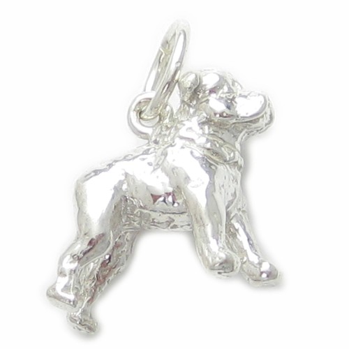 Staffordshire bull terrier dog - terrier,