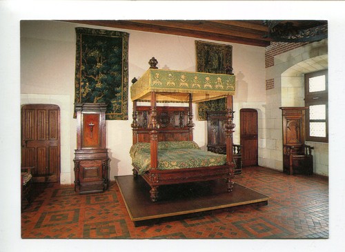 Amboise château la - le,