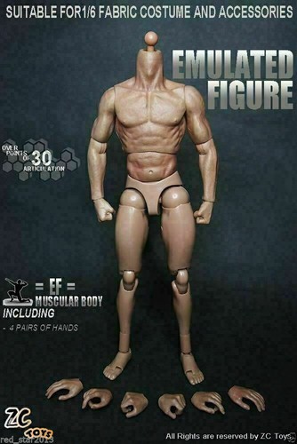 Toys muscular male - 12",