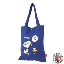 NOUVEAU petit sac shopping