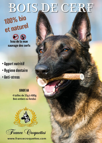 Bois cerfs xxl entier - de,