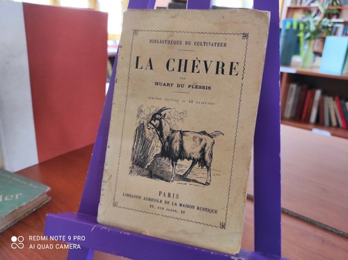 Chèvre huart du - la, plessis