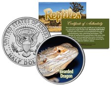 BEARDED DRAGON * Collectible